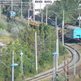 DSCN3538c