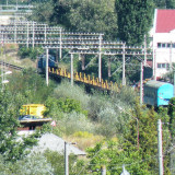 DSCN3539ec