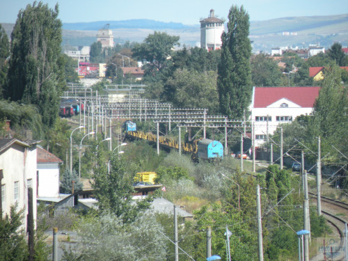 DSCN3540