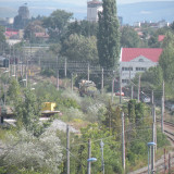 DSCN3618