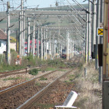 DSCN3951
