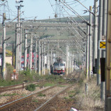DSCN3952