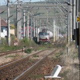 DSCN3953
