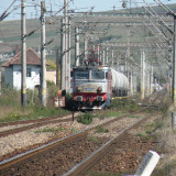 DSCN3954