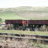 DSCN3982
