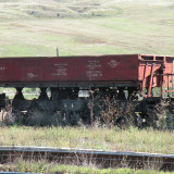DSCN3984