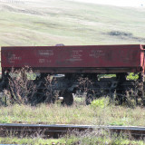 DSCN3985