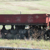 DSCN3986