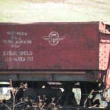 DSCN3988