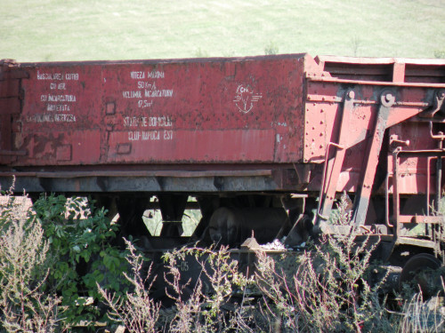 DSCN3990e.jpg