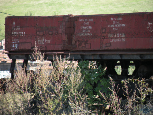 DSCN3991.jpg