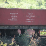 DSCN3992