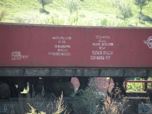 DSCN3993.jpg