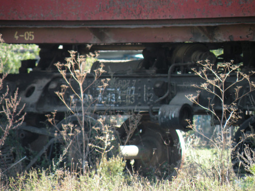 DSCN3995.jpg