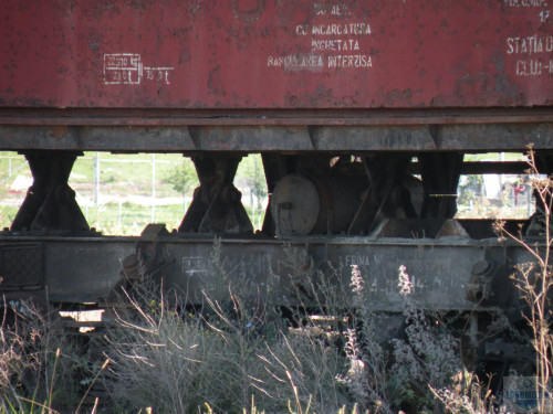 DSCN3996.jpg