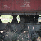 DSCN3996
