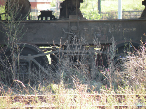 DSCN3997.jpg