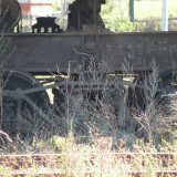 DSCN3997