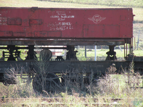 DSCN3998.jpg