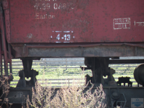 DSCN3999.jpg