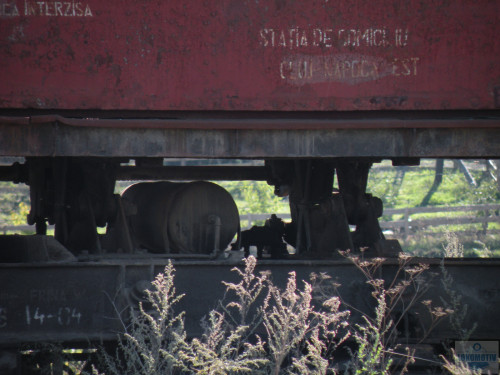 DSCN4000.jpg