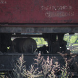 DSCN4000