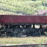 DSCN4001e