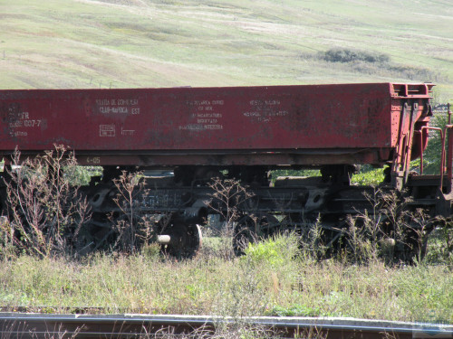 DSCN4002.jpg