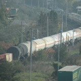 DSCN4396