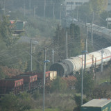 DSCN4397