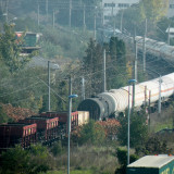 DSCN4397e