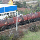 DSCN4423e