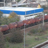 DSCN4425