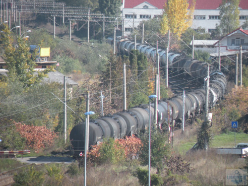 DSCN4437.jpg