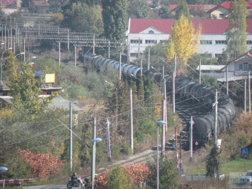 DSCN4438.jpg
