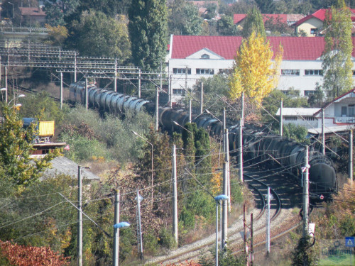 DSCN4439e.jpg