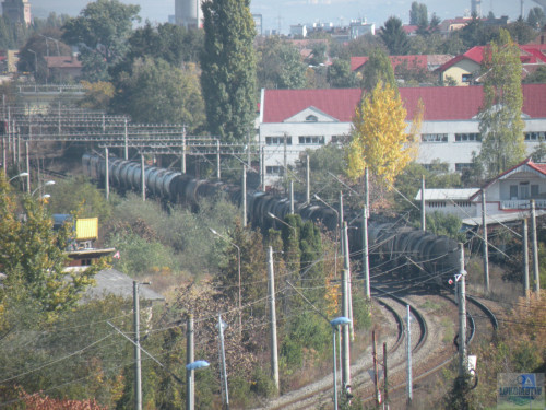 DSCN4440.jpg