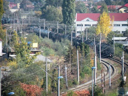 DSCN4441e.jpg
