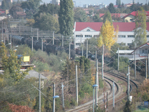 DSCN4442.jpg