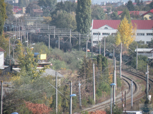 DSCN4443.jpg