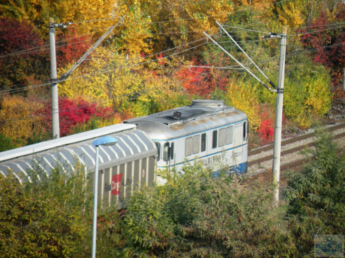 DSCN4444.jpg