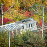 DSCN4444