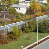 DSCN4445