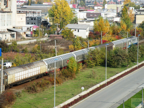 DSCN4446.jpg