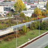 DSCN4446