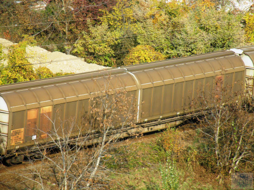 DSCN4447.jpg