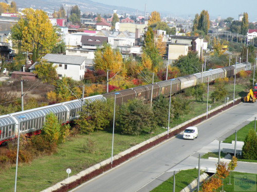 DSCN4452.jpg