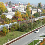 DSCN4452