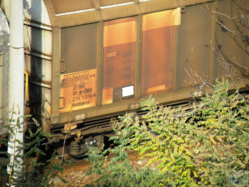 DSCN4455.jpg
