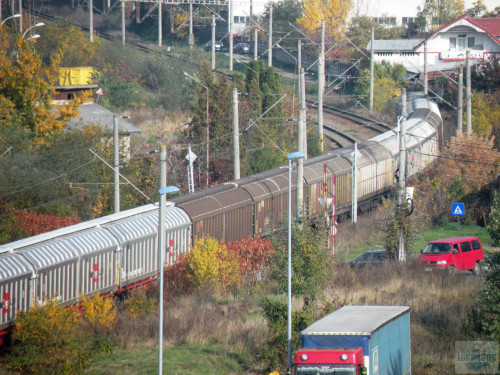 DSCN4457.jpg